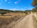 finca-rustica-con-acceso-rodado-small-0